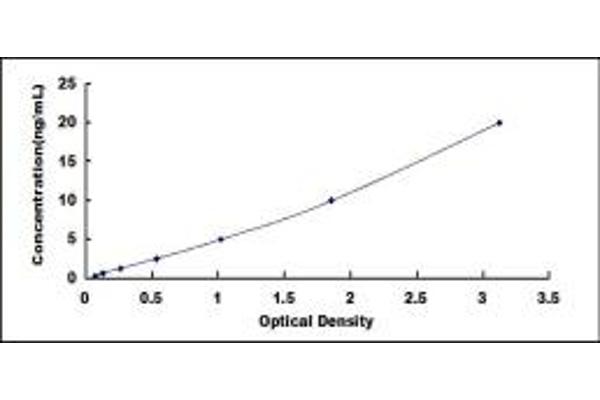 CPSF1 ELISA Kit