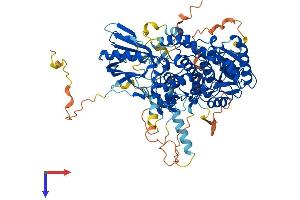 MTMR10 Protein (AA 1-777) (His tag)
