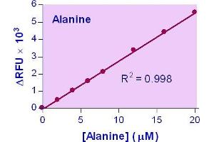 Biochemical Assay (BCA) image for L-Alanine Assay Kit (ABIN1000288) (L-Alanine Assay Kit)