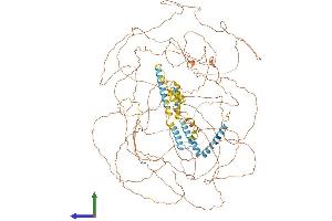Protein Structure (PS) image for Reticulon 4 (RTN4) (AA 1-1162) protein (His tag) (ABIN7564921)