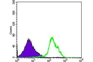 Flow cytometric analysis of RAJI cells using CD1A mouse mAb (green) and negative control (purple). (CD1a Antikörper)