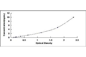 Typical standard curve (VASP ELISA Kit)