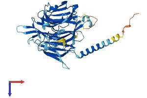 KPTN Protein (AA 1-436) (His tag)