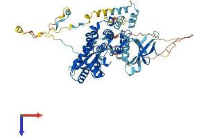 PRKAA2 Protein (AA 1-552) (His tag)