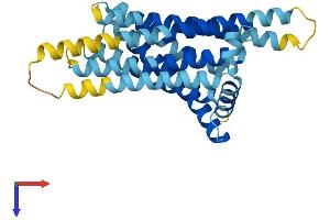 AlphaFold protein structure predicition of Mouse Recombinant Tas2r105 Protein, UniprotID Q9JKT4