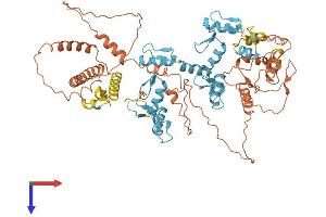AlphaFold protein structure predicition of Human Recombinant ZNF233 Protein, UniprotID A6NK53