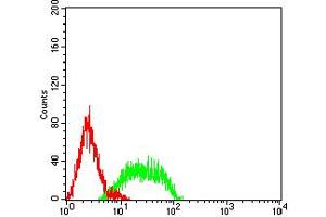 Flow cytometric analysis of HL-60 cells using CD106 mouse mAb (green) and negative control (red). (VCAM1 Antikörper  (AA 25-183))