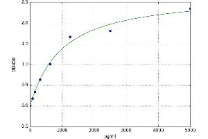 A typical standard curve
