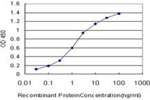 Detection limit for recombinant GST tagged STX4A is approximately 0. (Syntaxin 4 Antikörper  (AA 19-119))