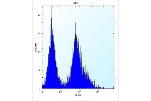 Flow Cytometry (FACS) image for anti-Cyclin-Dependent Kinase Inhibitor 2B (p15, Inhibits CDK4) (CDKN2B) (AA 102-130), (C-Term) antibody (ABIN656561)