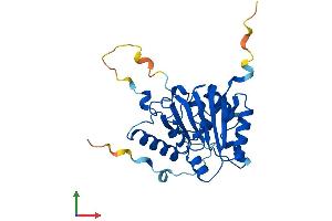 Protein Structure (PS) image for Methyltransferase Like 1 (METTL1) (AA 1-268) protein (His tag) (ABIN7556370)
