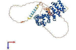 ARMCX1 Protein (AA 1-456) (His tag)