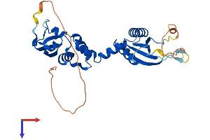 KCTD7 Protein (AA 1-289) (His tag)