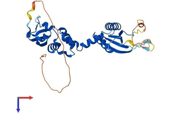 KCTD7 Protein (AA 1-289) (His tag)