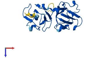 CRYbA2 Protein (AA 1-197) (His tag)