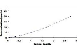 Typical standard curve (UTS2R ELISA Kit)