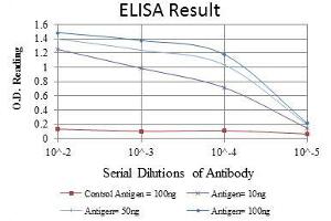 ELISA image for anti-Nuclear Receptor Subfamily 3, Group C, Member 1 (Glucocorticoid Receptor) (NR3C1) antibody (ABIN969321)