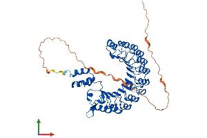 Protein Structure (PS) image for F-Box and Leucine-Rich Repeat Protein 16 (FBXL16) (AA 1-479) protein (His tag) (ABIN7561980)