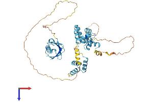 RAD23B Protein (AA 1-416) (His tag)
