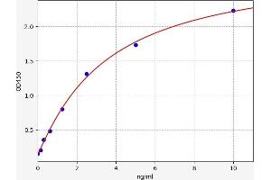 Olfactomedin 1 ELISA Kit