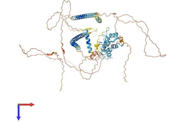 PBXIP1 Protein (AA 1-731) (His tag)