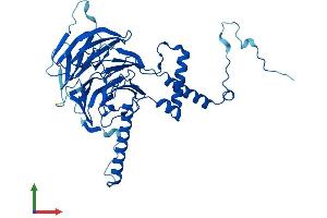 Protein Structure (PS) image for DDB1 and CUL4 Associated Factor 13 (DCAF13) (AA 1-445) protein (His tag) (ABIN7558025)