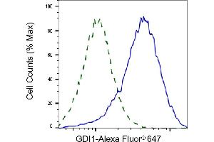 Flow cytometric analysis of GDI1 expression in HAP-1 cells using GDI1 antibody (ABIN7798699), 1:2,000).