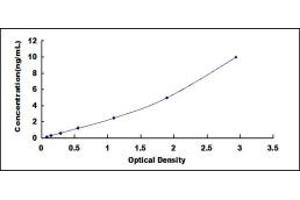 Typical standard curve (BTK ELISA Kit)