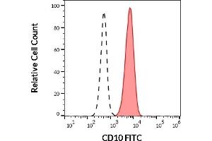 Separation of human CD10 positive neutrophil granulocytes (red-filled) from human CD10 negative lymphocytes (black-dashed) in flow cytometry analysis (surface staining) of human peripheral whole blood stained using anti-human CD10 (LT10) FITC (20 μL reagent / 100 μL of peripheral whole blood). (MME Antikörper  (FITC))