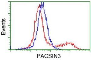 Image no. 3 for anti-Protein Kinase C and Casein Kinase Substrate in Neurons 3 (PACSIN3) antibody (ABIN1500011) (PACSIN3 Antikörper)