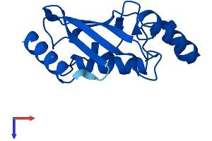 UBE2D4 Protein (AA 1-147) (His tag)