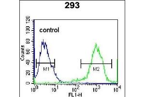 RHOXF2 Antibody (N-term) (ABIN656109 and ABIN2845449) flow cytometric analysis of 293 cells (right histogram) compared to a negative control cell (left histogram). (RHOXF2 Antikörper  (N-Term))