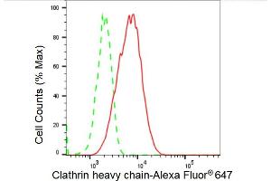 Flow cytometric analysis of Clathrin heavy chain expression in C2C12 cells using Clathrin heavy chain antibody (ABIN7798090), 1:2,000).