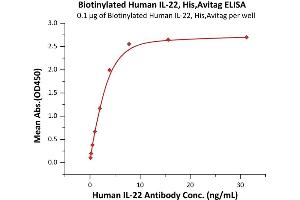 Immobilized Biotinylated Human IL-22, His,Avitag (ABIN6973118) at 1 μg/mL (100 μL/well)on streptavidin  precoated (0.
