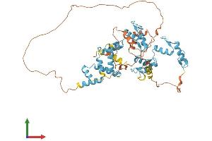 AlphaFold protein structure predicition of Human Recombinant ZNF449 Protein, UniprotID Q6P9G9