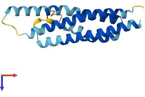 CNIH3 Protein (AA 1-160) (His tag)