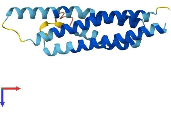 CNIH3 Protein (AA 1-160) (His tag)