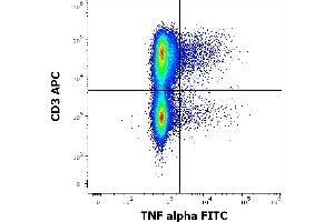 Flow cytometry multicolor intracellular staining pattern of human PHA stimulated peripheral blood mononuclear cells stained using anti-human TNF alpha (MAb11) FITC antibody (4 μL reagent per milion cells in 100 μL of cell suspension). (TNF alpha Antikörper  (FITC))