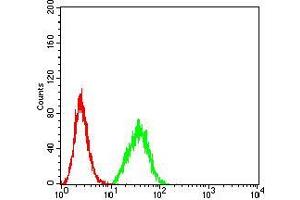 Flow Cytometry (FACS) image for anti-DEAD (Asp-Glu-Ala-Asp) Box Polypeptide 1 (DDX1) (AA 642-740) antibody (ABIN5542504)