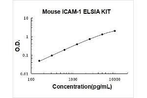 Mouse ICAM-1 PicoKine ELISA Kit standard curve