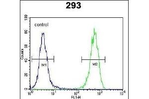 PTK9L Antibody (N-term) (ABIN655611 and ABIN2845093) flow cytometric analysis of 293 cells (right histogram) compared to a negative control cell (left histogram). (TWF2 Antikörper  (N-Term))