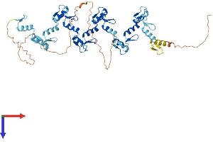 ZNF623 Protein (AA 1-536) (His tag)