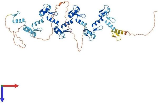 ZNF623 Protein (AA 1-536) (His tag)