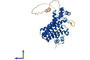 AlphaFold protein structure predicition of Mouse Recombinant Pdss1 Protein, UniprotID Q33DR2