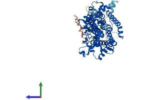 Protein Structure (PS) image for Lipase Maturation Factor 1 (LMF1) (AA 1-567) protein (His tag) (ABIN7549075)