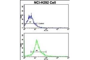 Flow cytometric analysis of NCI- cells using SOX2 Antibody (N-term)(bottom histogram) compared to a negative control cell (top histogram). (SOX2 Antikörper  (N-Term))