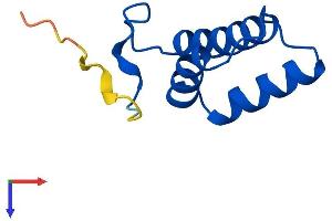 COX6B2 Protein (AA 1-88) (His tag)