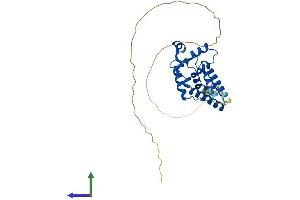 Protein Structure (PS) image for Mortality Factor 4 Like 2 (MORF4L2) (AA 1-288) protein (His tag) (ABIN7554607)