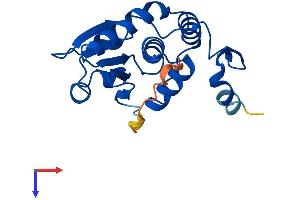 DUSP18 Protein (AA 1-188) (His tag)