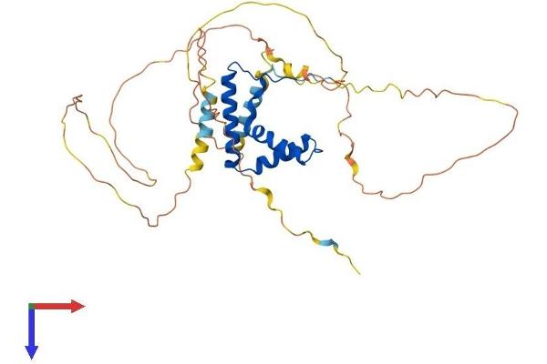 SOX18 Protein (AA 1-377) (His tag)